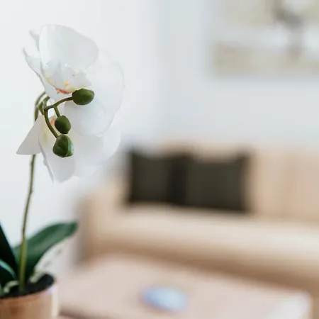 Palace By Quokka 360 - 2 Minutes From Lido *