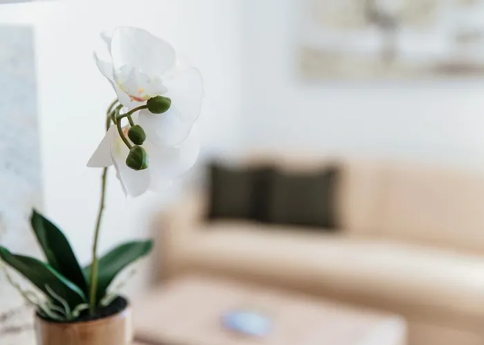 Palace By Quokka 360 - 2 Minutes From Lido *